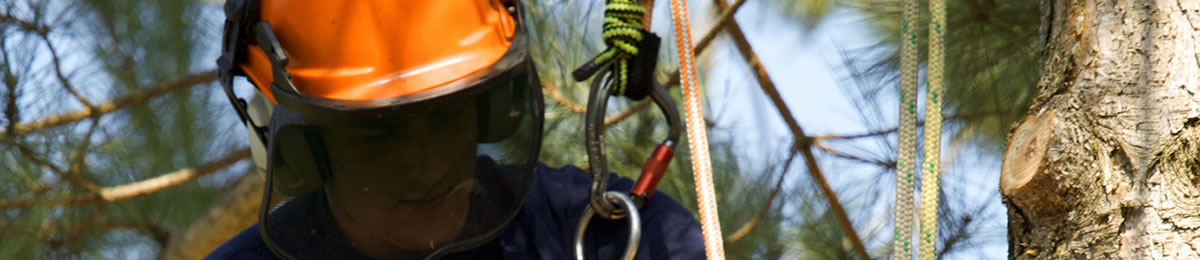 safety rope manufacturer